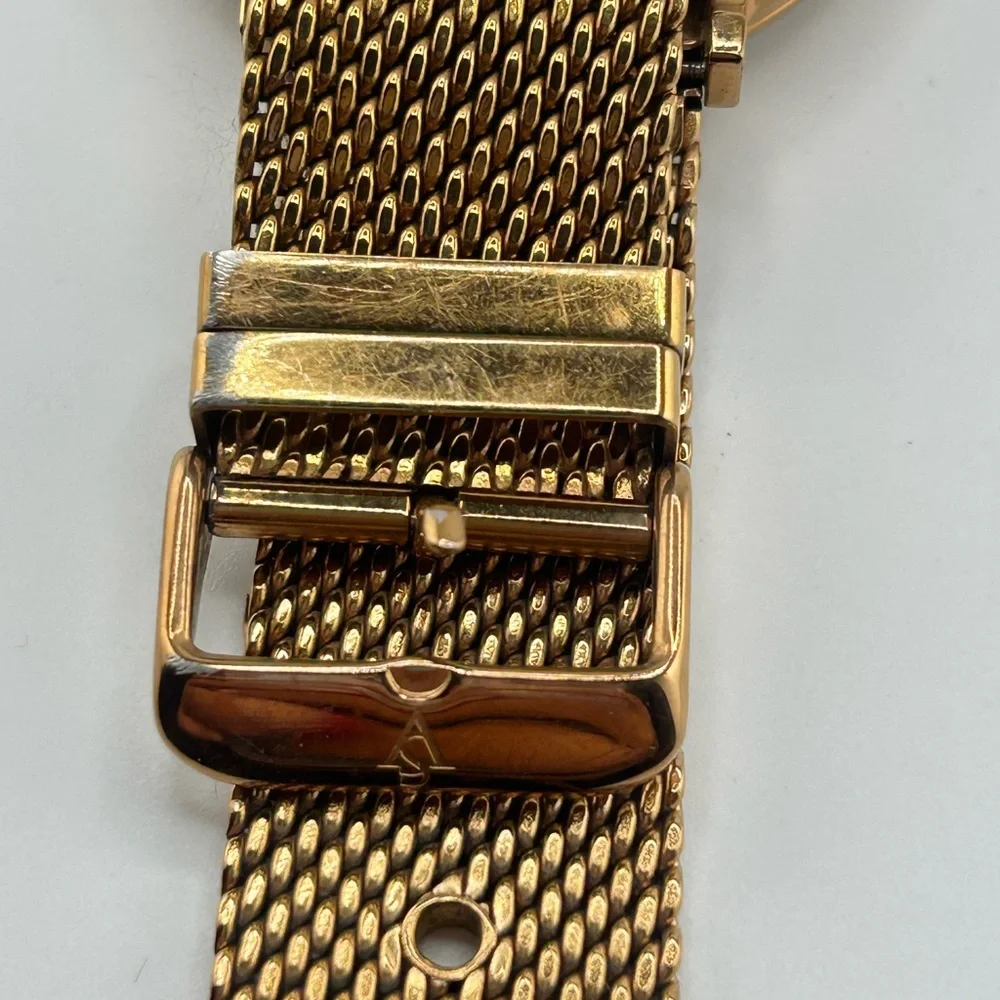 Christian Van Sant Men's Somptueuse Limited Edition Automatic 504